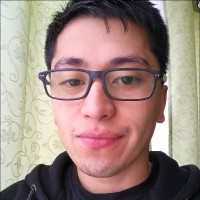 Luis Manquel Guarda [ Angular, Sql, Git, C Sharp ]