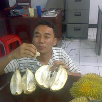 indro sangsongko
