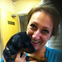Stacey Barlow