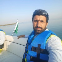 Hafeez Aslam