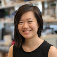 Carmen Chan