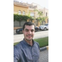 Karim Elsayed
