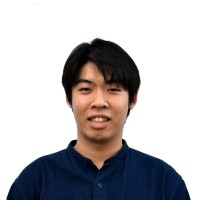 Vi Phan