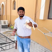 Kaviyarasan Chellapillai
