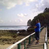 Wibisono Adji