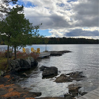 Thomas Kofman CA, CPA