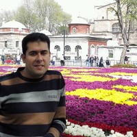 Hesham H. Elbanna