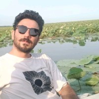 Peyman Karimi