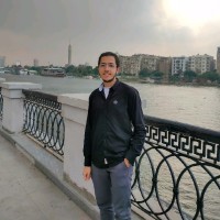 yousef Allam