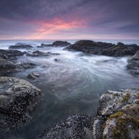 David Summers