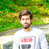 Hamid Nasir