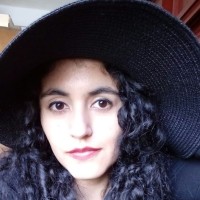 Ginethe Mireya Rubiano Fontecha