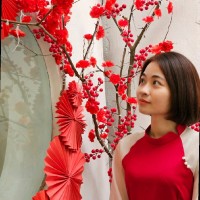 Hoàng Kim Anh (Serena Hoang)