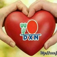 Dxn Abdul Alim