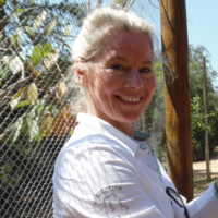 Nelly Stekelenburg