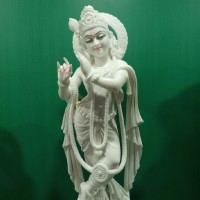 Shareena S