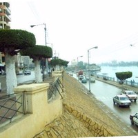 عزه إبراهيم