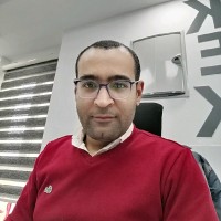 Abdelhamid Naguib Abdelhamid