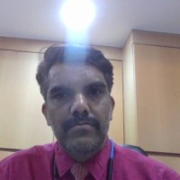 Vinod Damico