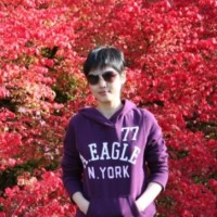 Ying Chen