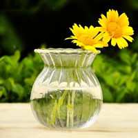 Evershine Glass