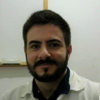 Luiz Domingues A.