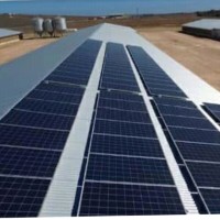 Sadiq olanrewaju Alex