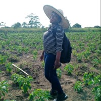 Lydia Ekpong Thompson