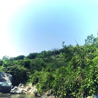周国美