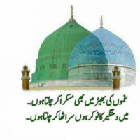 rehan ameer