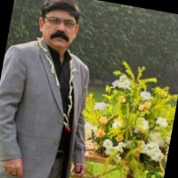 Shailender Kaul