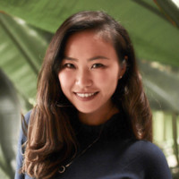 Jade Chen