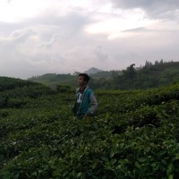 Fiqri Prata