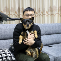 朱云涛