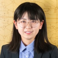 Lin Han