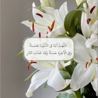 Asmaa Al-Enazi
