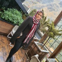 Narges Sahraei