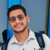 Hisham ِAmer