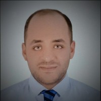 Tamer M. Mohamed Hassan