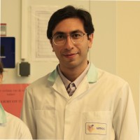 Ali Rajabi