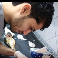 Ali Aljanabi