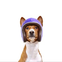 Benny Petsy
