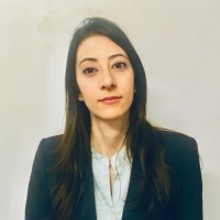 Sarah Carvalho Vorcaro