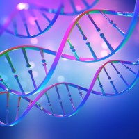 Sandra BROSSET-VINCENT