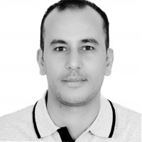 Wael Mohamed