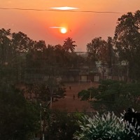 Rohini M