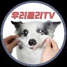 우리콜리Tvwoori Collie Tv