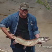 Steve O'Donnell
