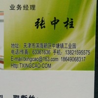 张中柱