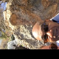 Mamadou Dian Diallo